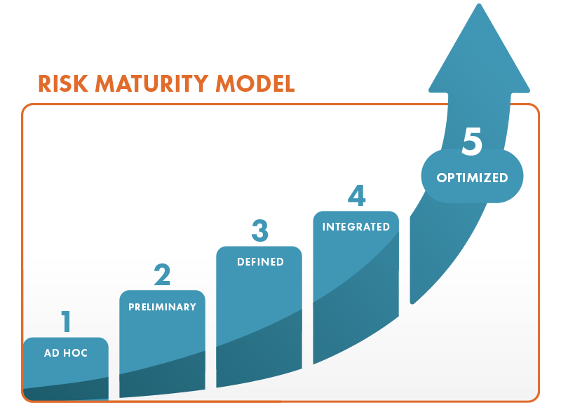 Risk Maturity Level (Level Pengukuran Maturitas Risiko)